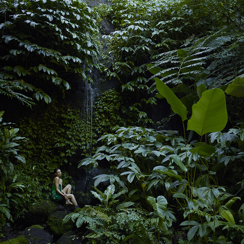 Dschungel mit Wasserfall und Frau mittendrin als Keyvisual von Aveda